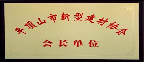 华体会(中国)公司被授予“平顶山市新型建材协会会长单位”
