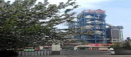 华体会(中国)春景（八）
