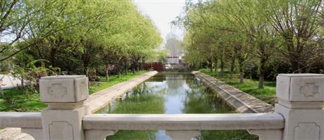 华体会(中国)春色（三）